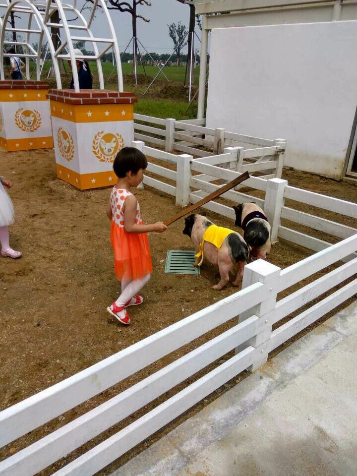 9888拉斯维加斯(股份)有限公司-官方网站