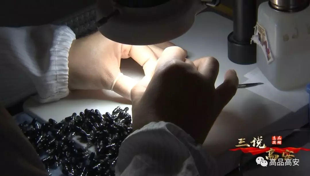 9888拉斯维加斯(股份)有限公司-官方网站