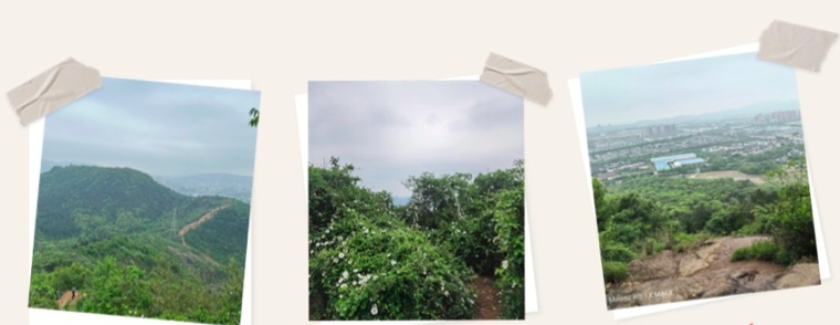 A3ifcLUaehnyYYFGHGy9iIK6eLC6O7Av55DpMvGj